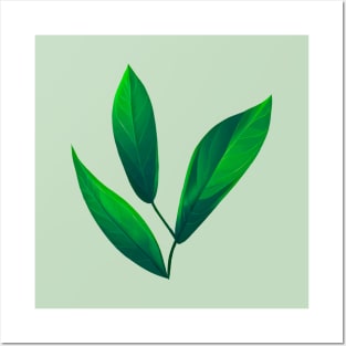 Green Leaves || Vector Art || Eco Green Leaves Posters and Art